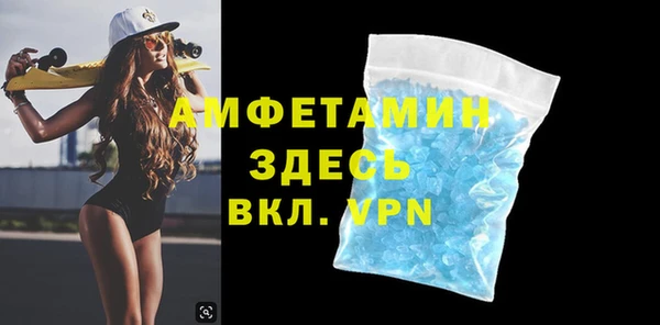 шишки Пестово